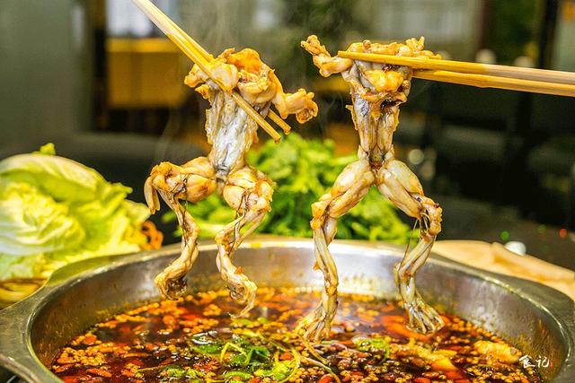 桃園賓館火了快20年的老店，卻在春園路開了家美蛙魚頭！
