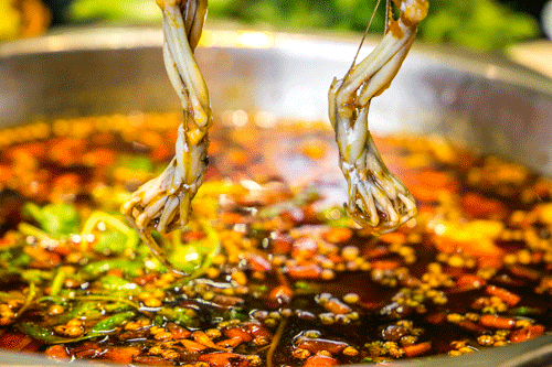 桃園賓館火了快20年的老店，卻在春園路開了家美蛙魚頭！