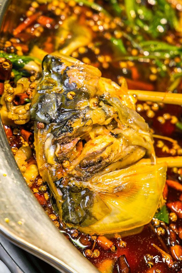 桃園賓館火了快20年的老店，卻在春園路開了家美蛙魚頭！