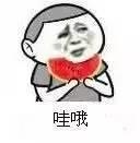 161930napj2dud633p3xtx